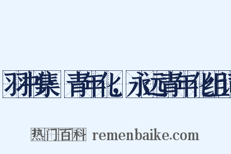 羽书集·青年化，永远青年化组词是什么意思的图片